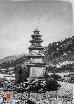 충주 미륵리 오층석탑