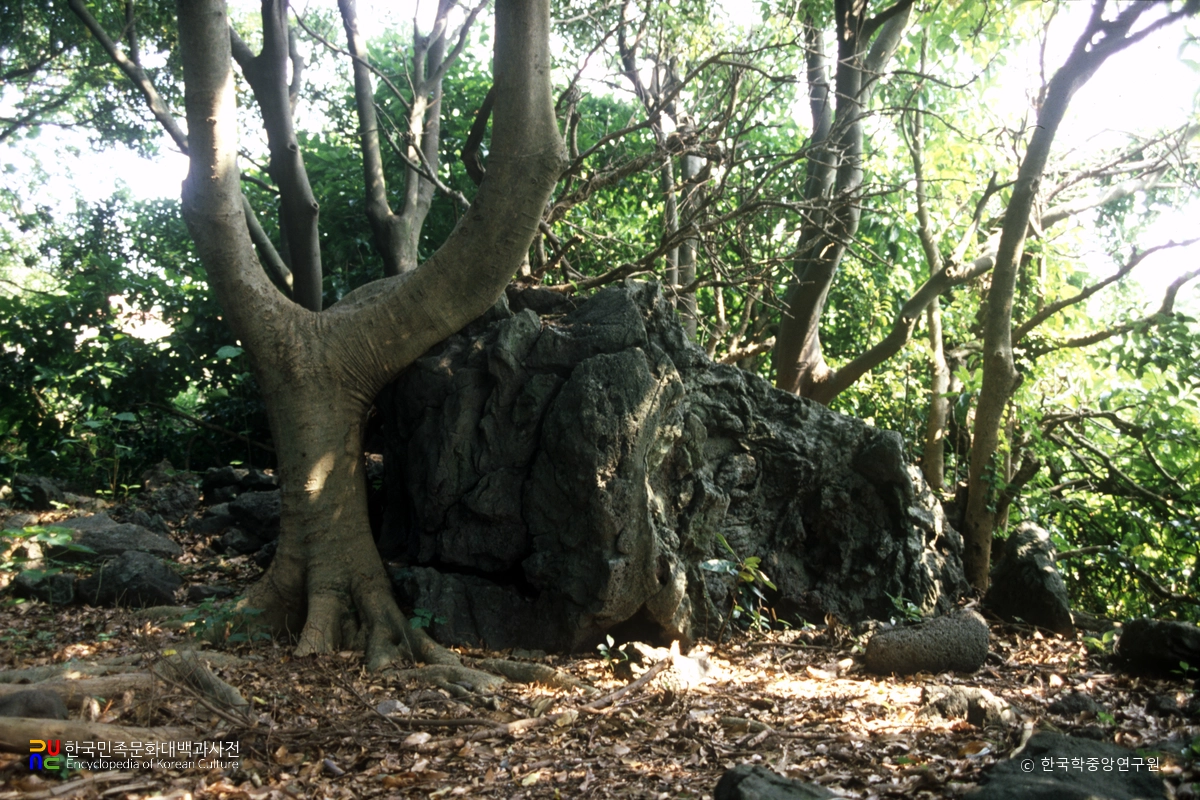 남제주 토산리 여드렛당