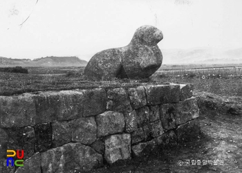 경주 분황사 모전석탑 중 기단 동북쪽 석사자 보수 후 우측면