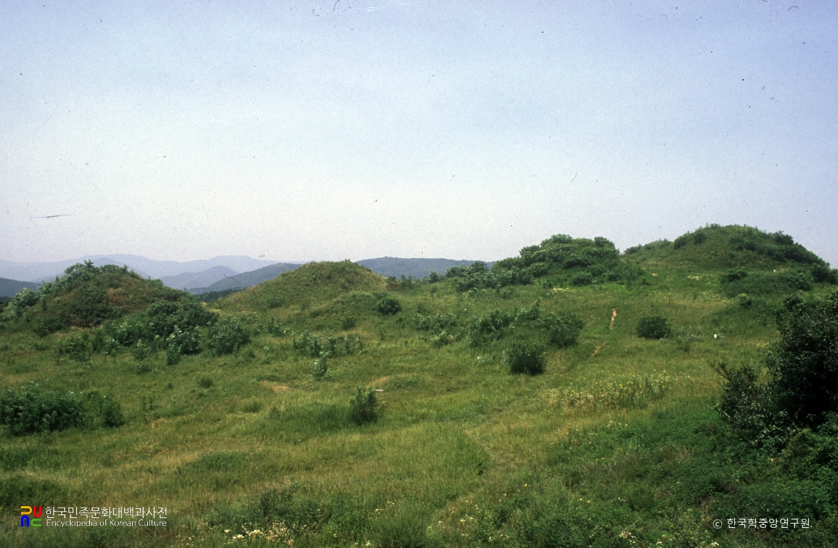 대구 불로동 고분군