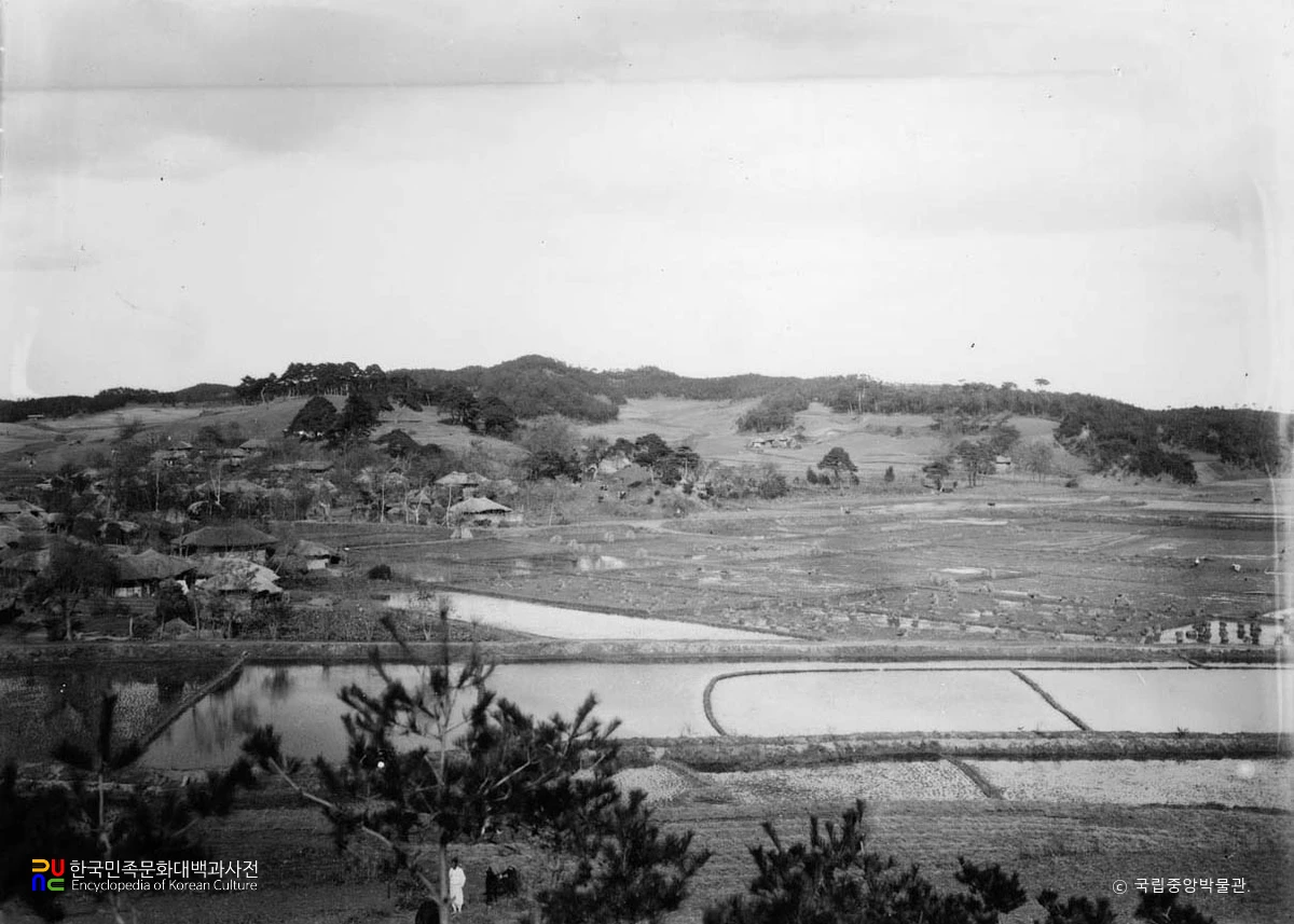 정평 남산에서 본 도흥리 고성  부근 마을