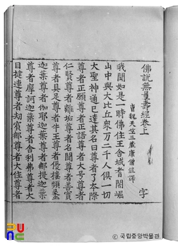 불설무량수경 권상
