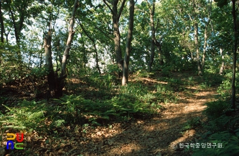 서운산성