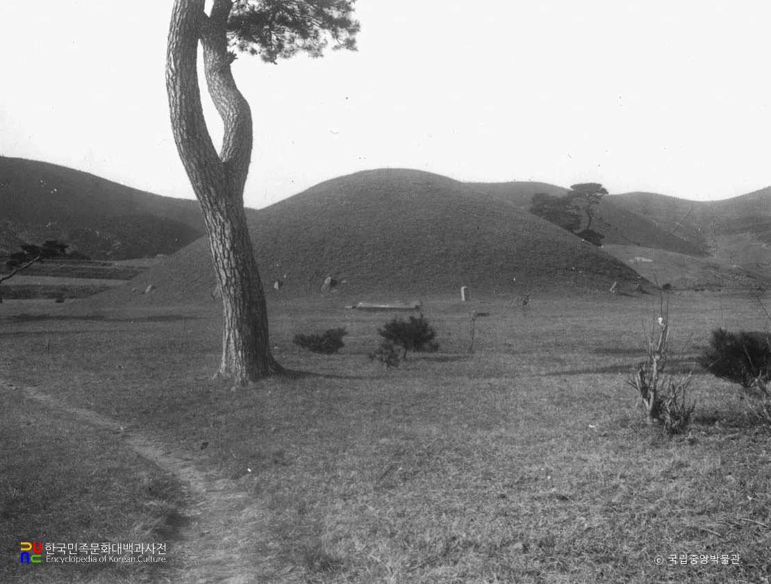 경주 신라 무열왕릉