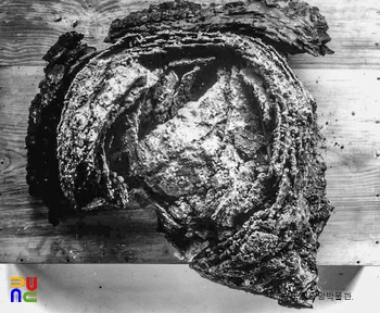 경남 창녕 교동 제89호분 괘갑