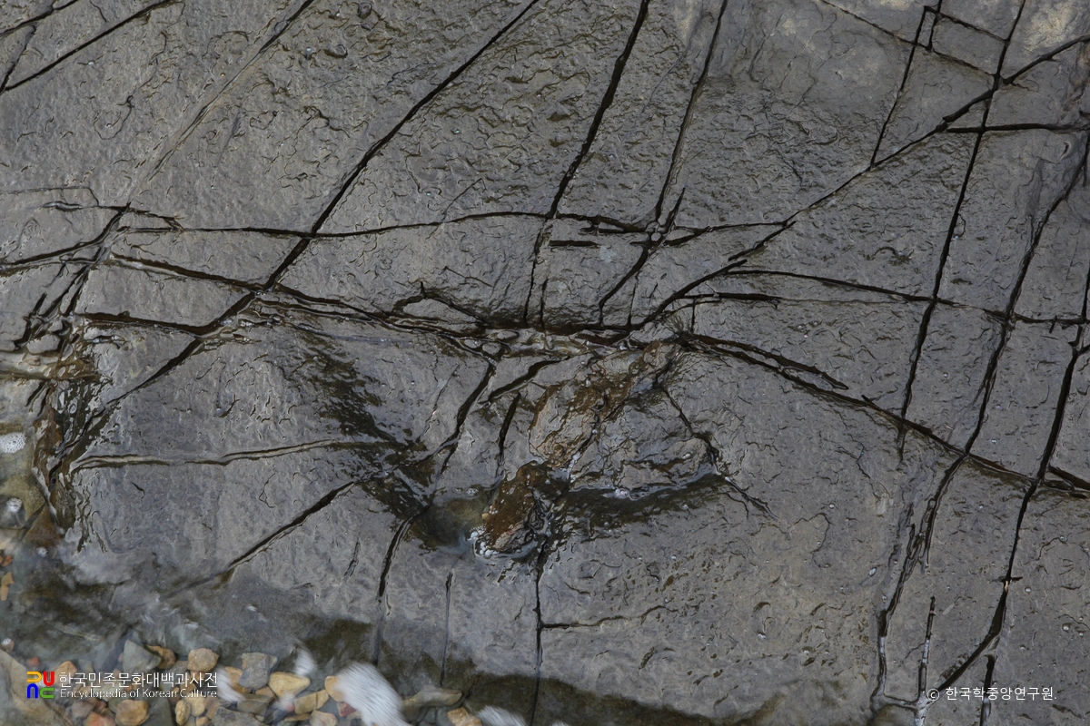 남해 가인리 화석산지