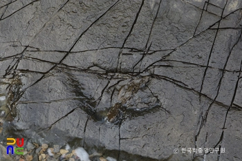 남해 가인리 무료 슬롯 카지노