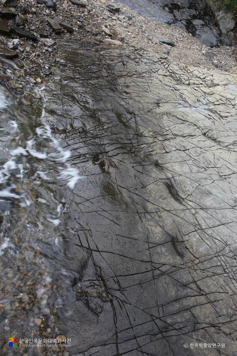 남해 가인리 화석산지