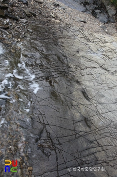 남해 가인리 화석산지