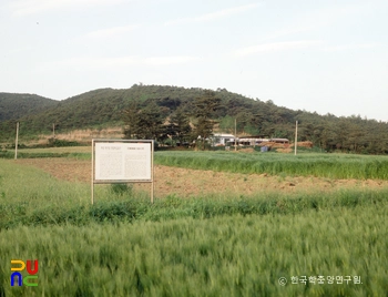 경주 화산리 회유토기 요지 전경