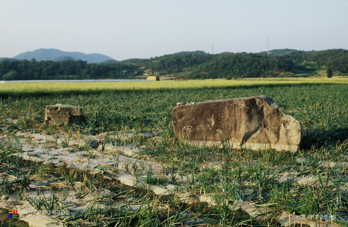 함안 동천리 지석묘