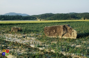 함안 동천리 지석묘