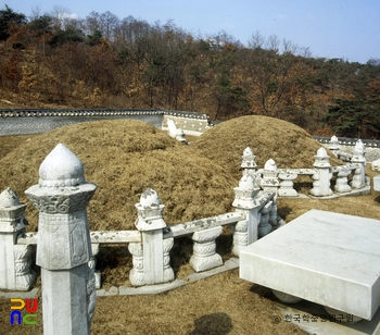 구리 동구릉 중 조선 현종과 명성왕후 숭릉 능침 좌측면