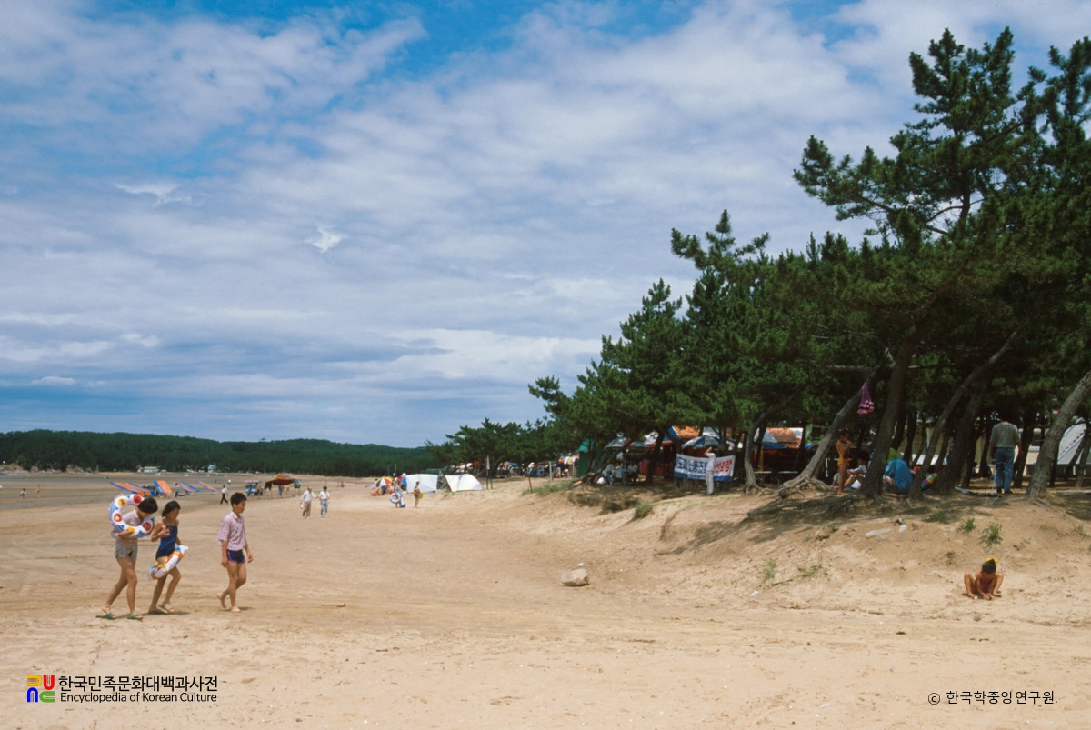 몽산포해수욕장