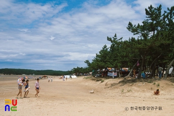 몽산포크레이지 슬롯 주소