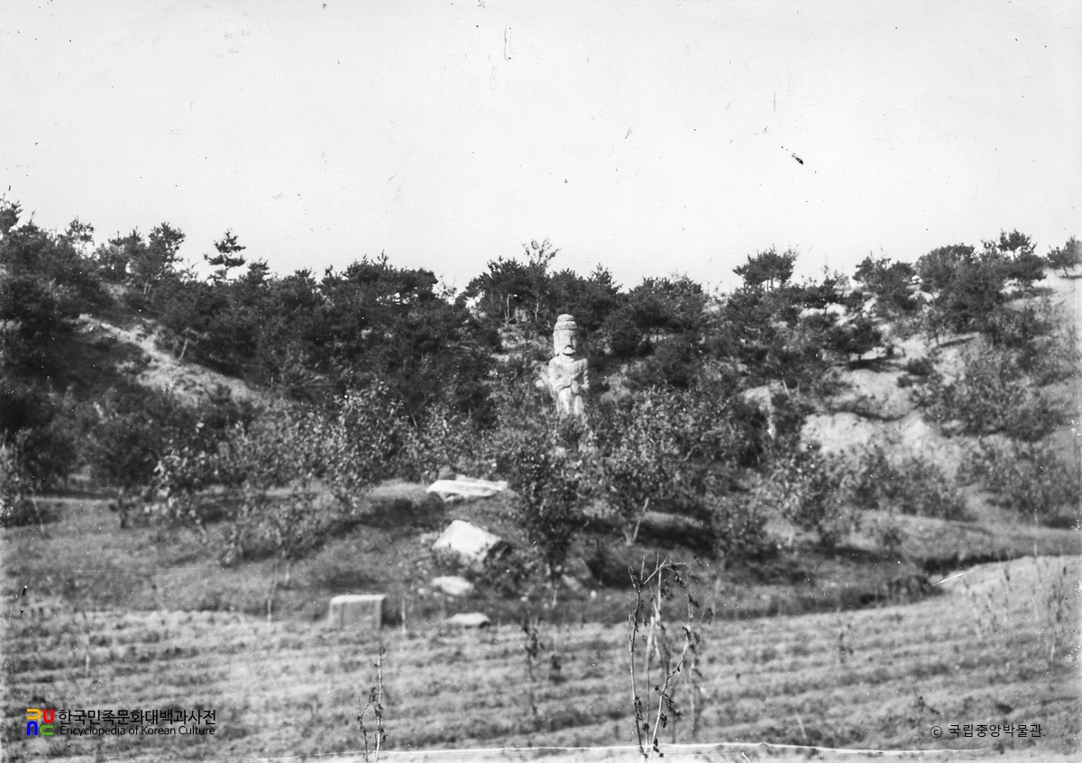 괴산 광덕사 석불입상