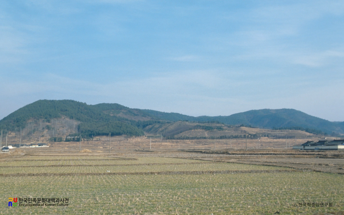 경주 낭산 일원 전경