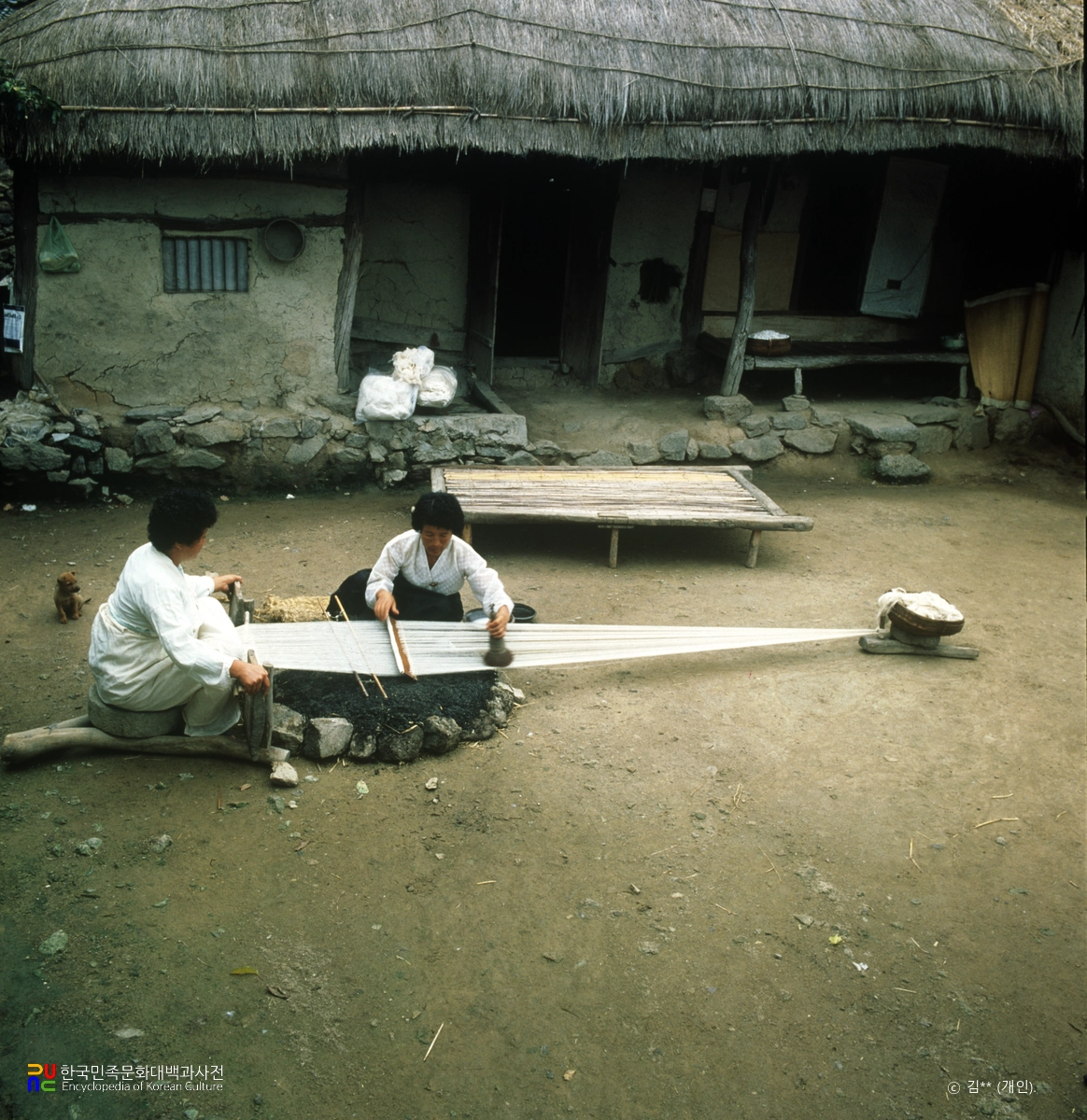 나주 샛골나이 / 매기