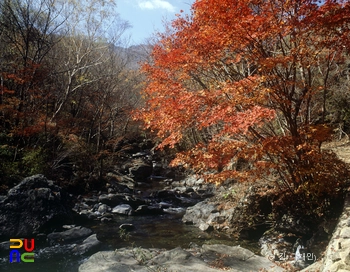 덕유산 백련담