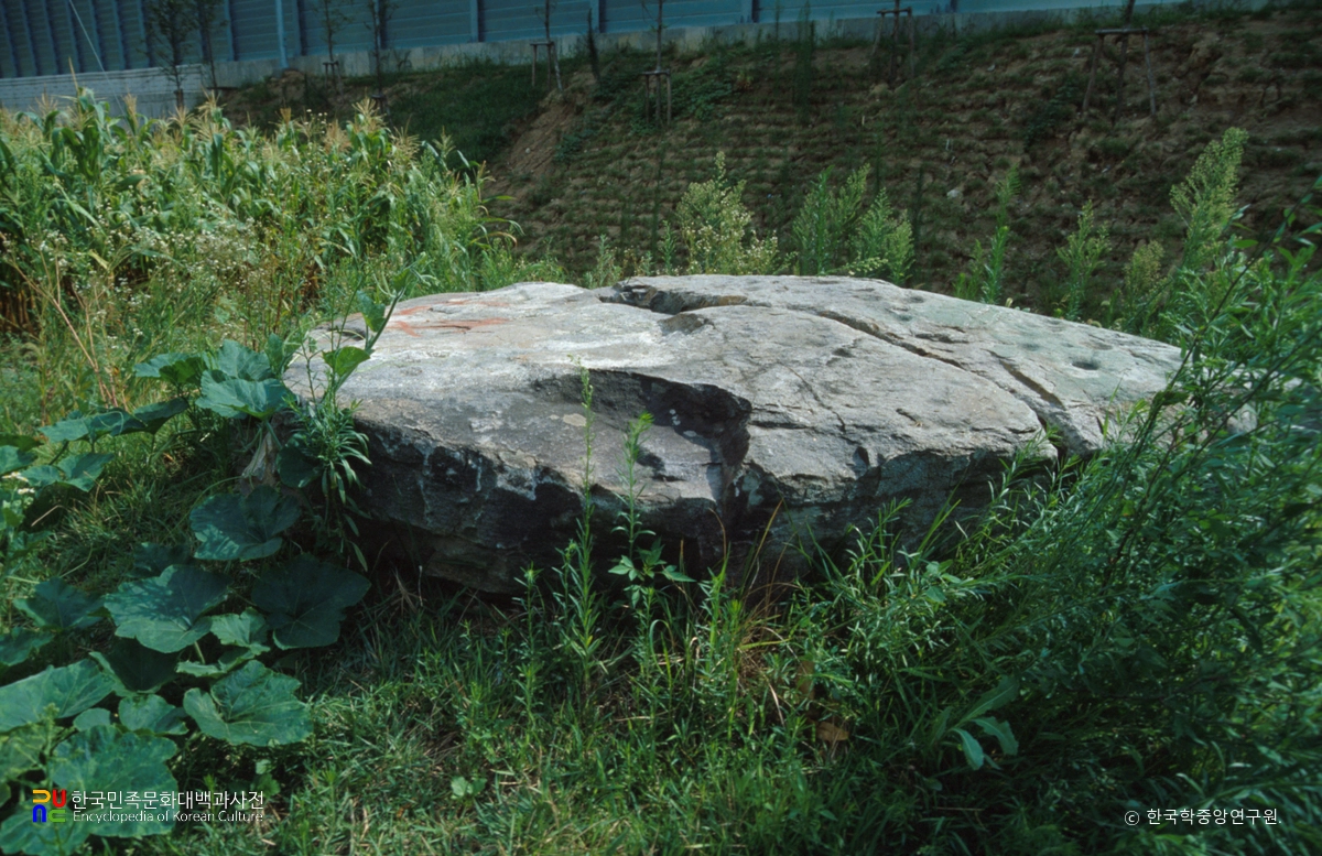 대전 비래동 고인돌