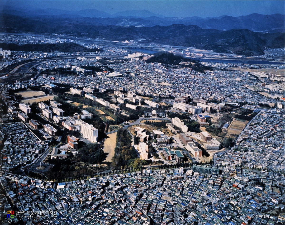 경북대학교