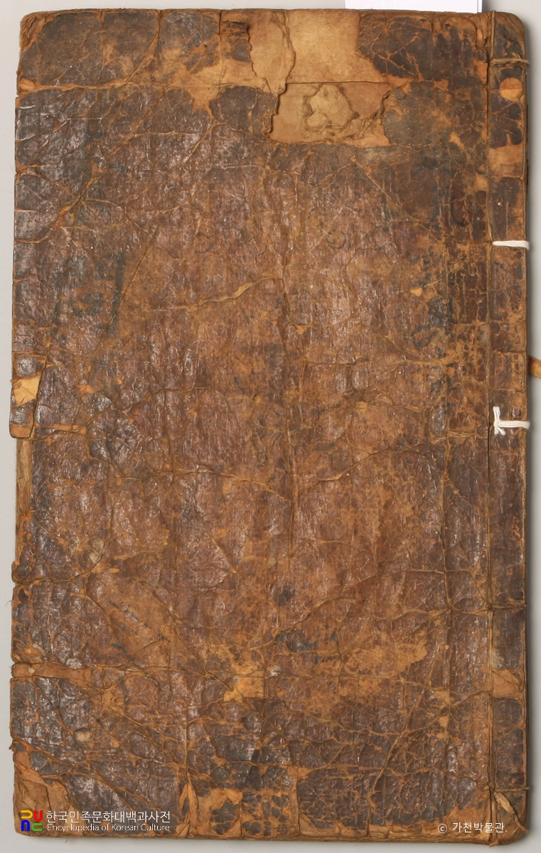 신간소문입식운기론오