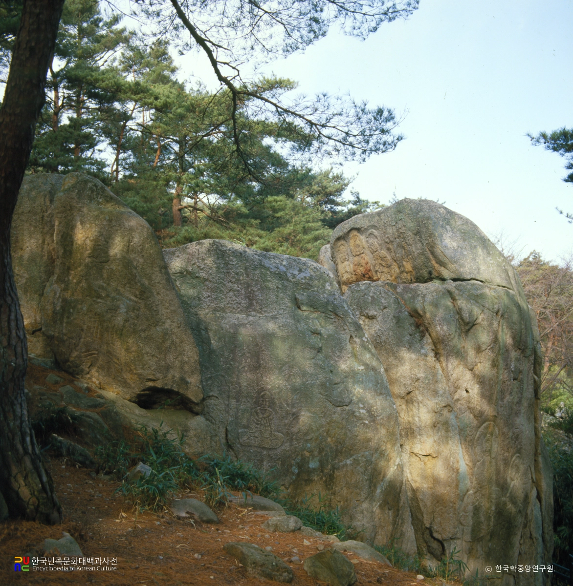 경주 남산 탑곡 마애불상군 동면