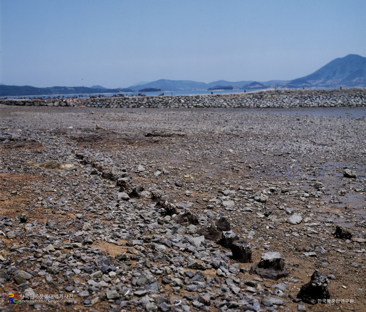 완도 청해진 유적 방책