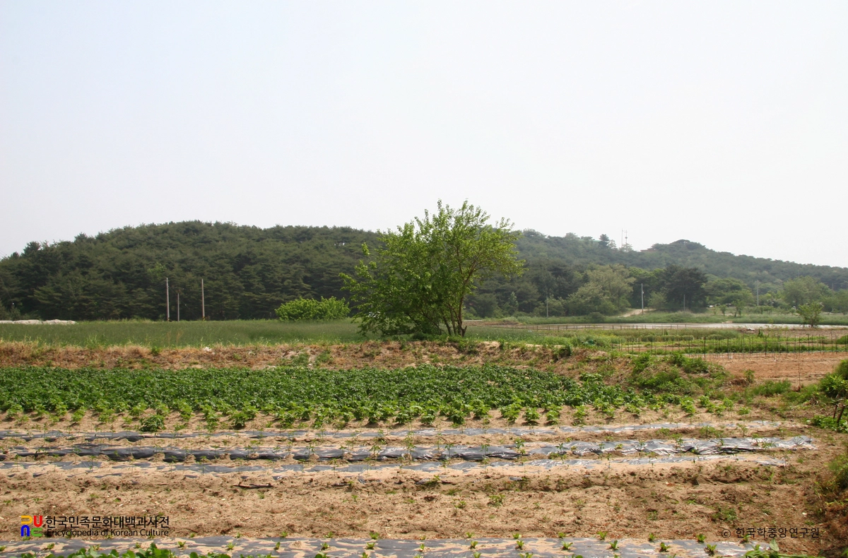 고성 문암리 유적