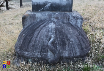 함양 평촌리 신고당 신도비의 귀부 후면