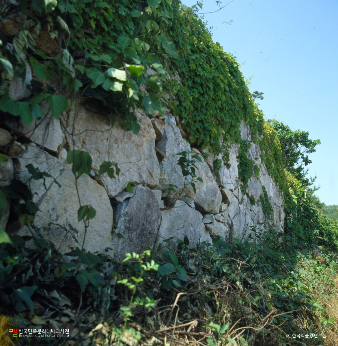 거제 가배량진성