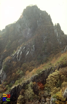 슬롯 머신 구매 남산 제일봉