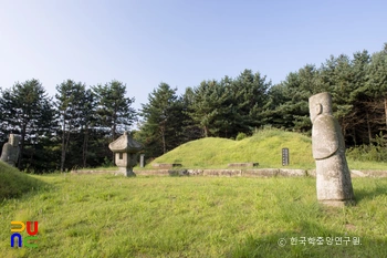 에볼루션 카지노 사이트