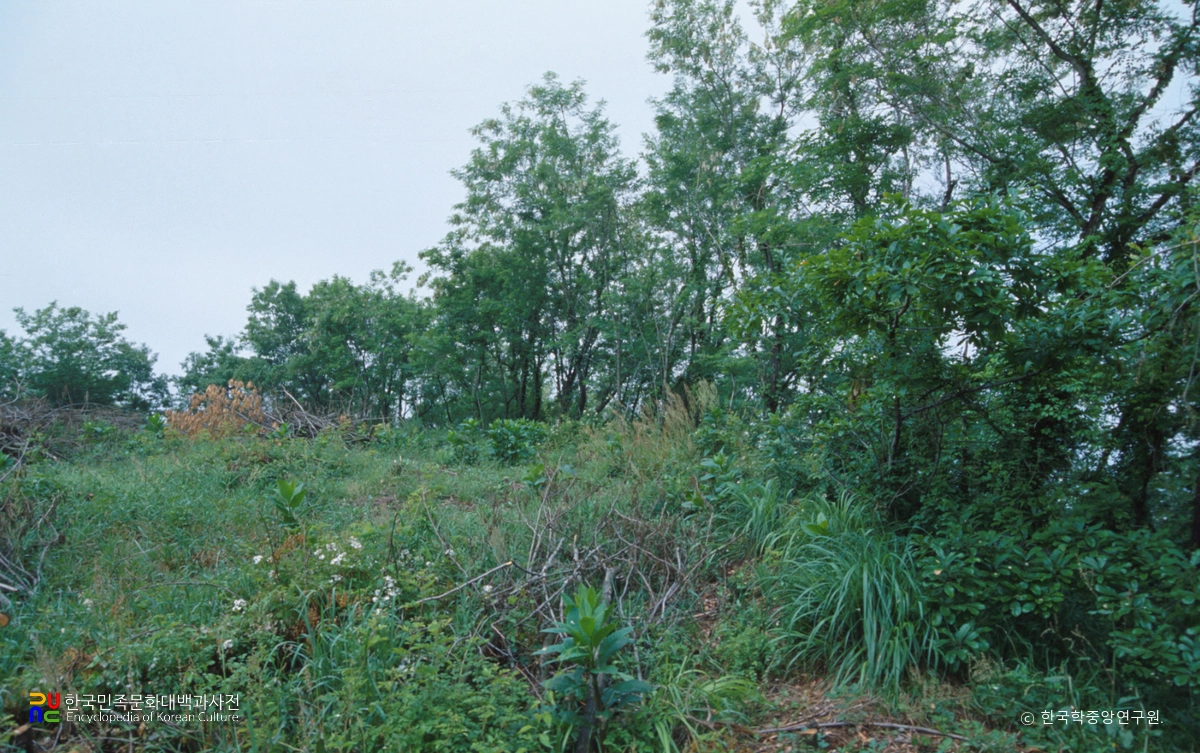 서천 남산성 내부