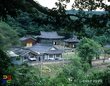 연기 비암사 전경