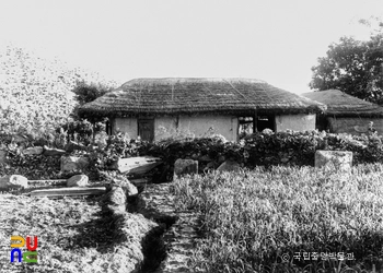 경주 남산 천룡사지 삼층석탑 붕괴 모습