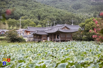 경주 서출지와 이요당