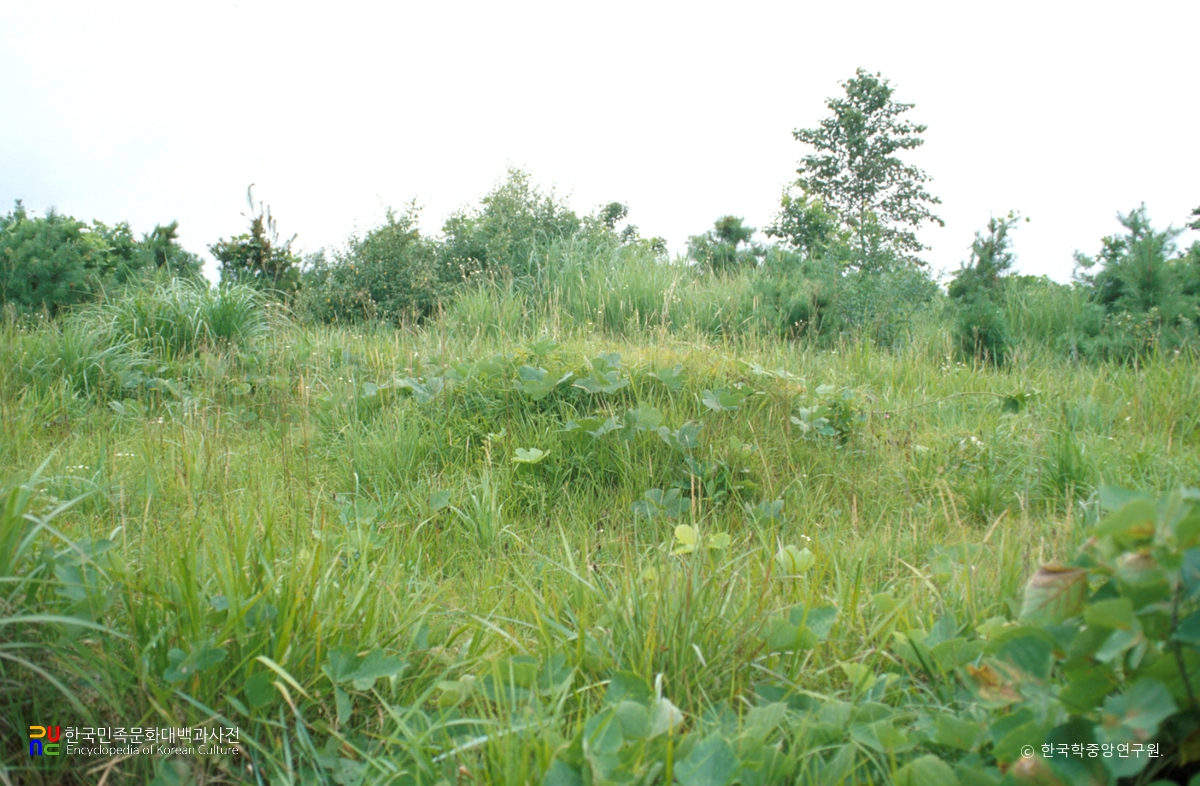 완주 권삼득 묘