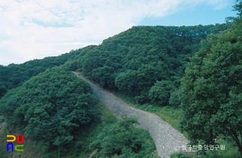 충주산성