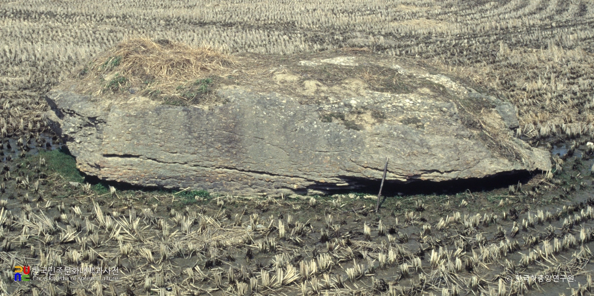 오산 금암리 지석묘군 전경