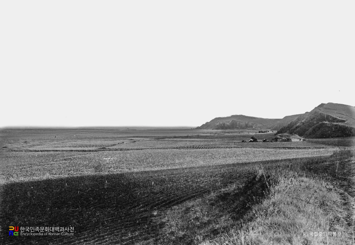 함북 경성 원사대 원경