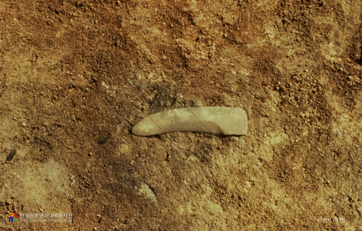 부여 송국리 집터 출토 돌낫