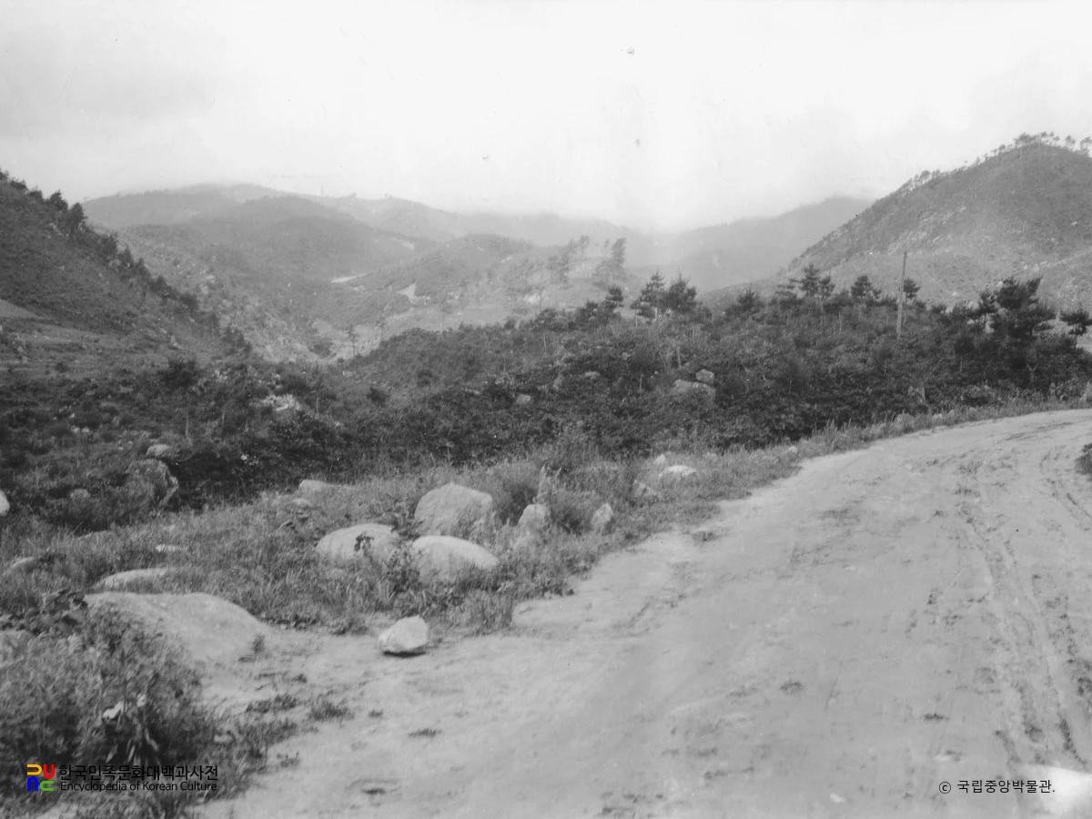 강원 강릉 대관령 옛길