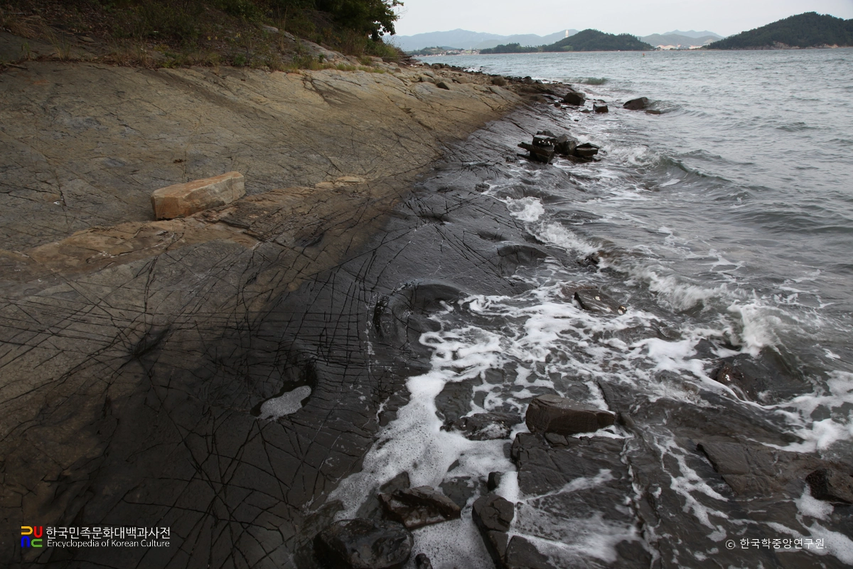 남해 가인리 화석산지