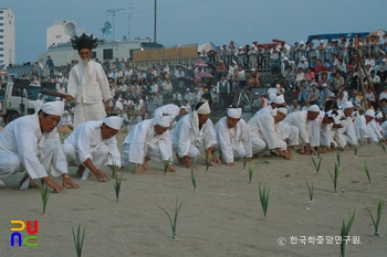 강릉 학산 오독떼기 김매기