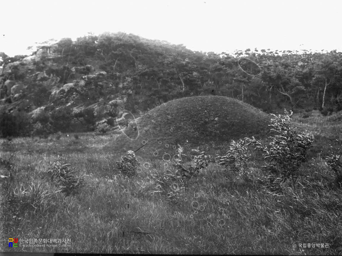 경주 신라 탈해왕릉