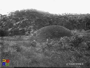 경주 신라 탈해왕릉