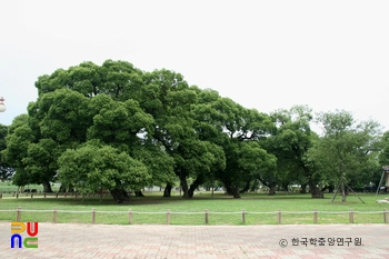 성주 경산리 성밖숲