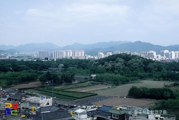 경주 고양수 / 황성공원