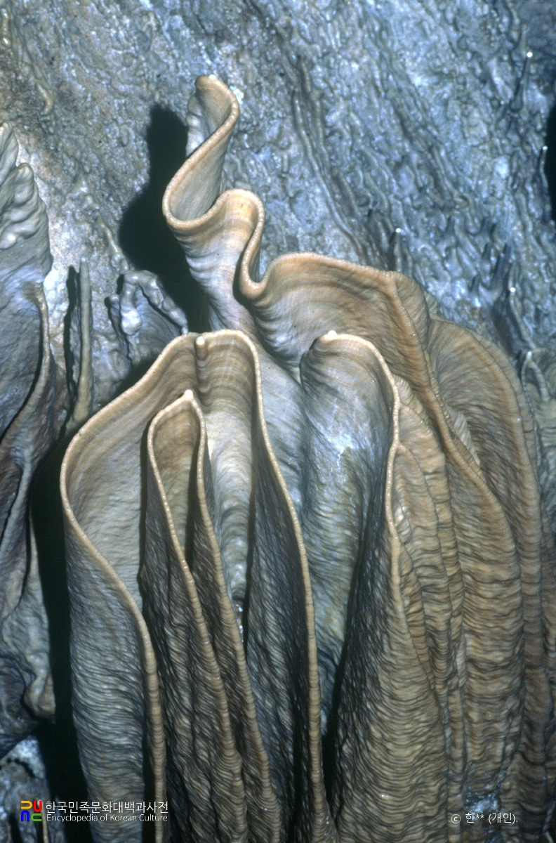 영월 고씨굴 꽈배기 모양의 종유석